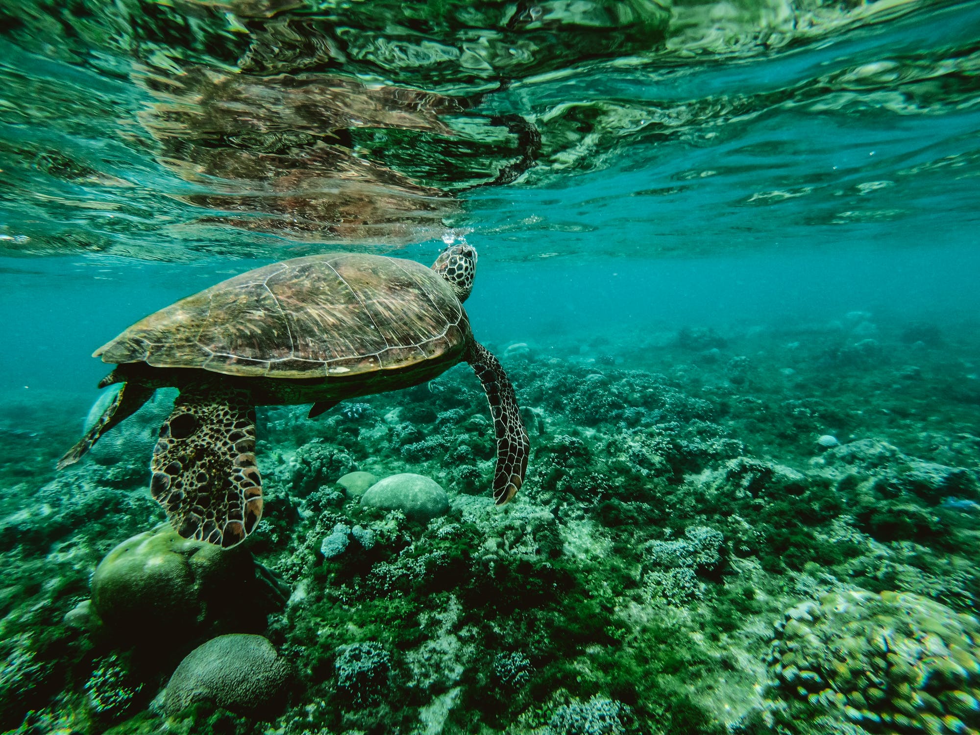 Ocean-friendly brands you should know about